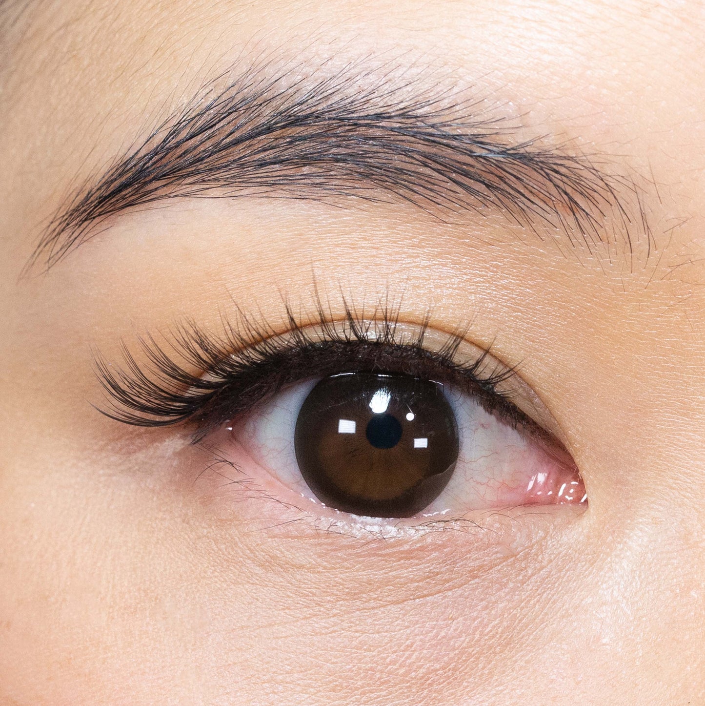 Wedding Lash 300 Variety Pack