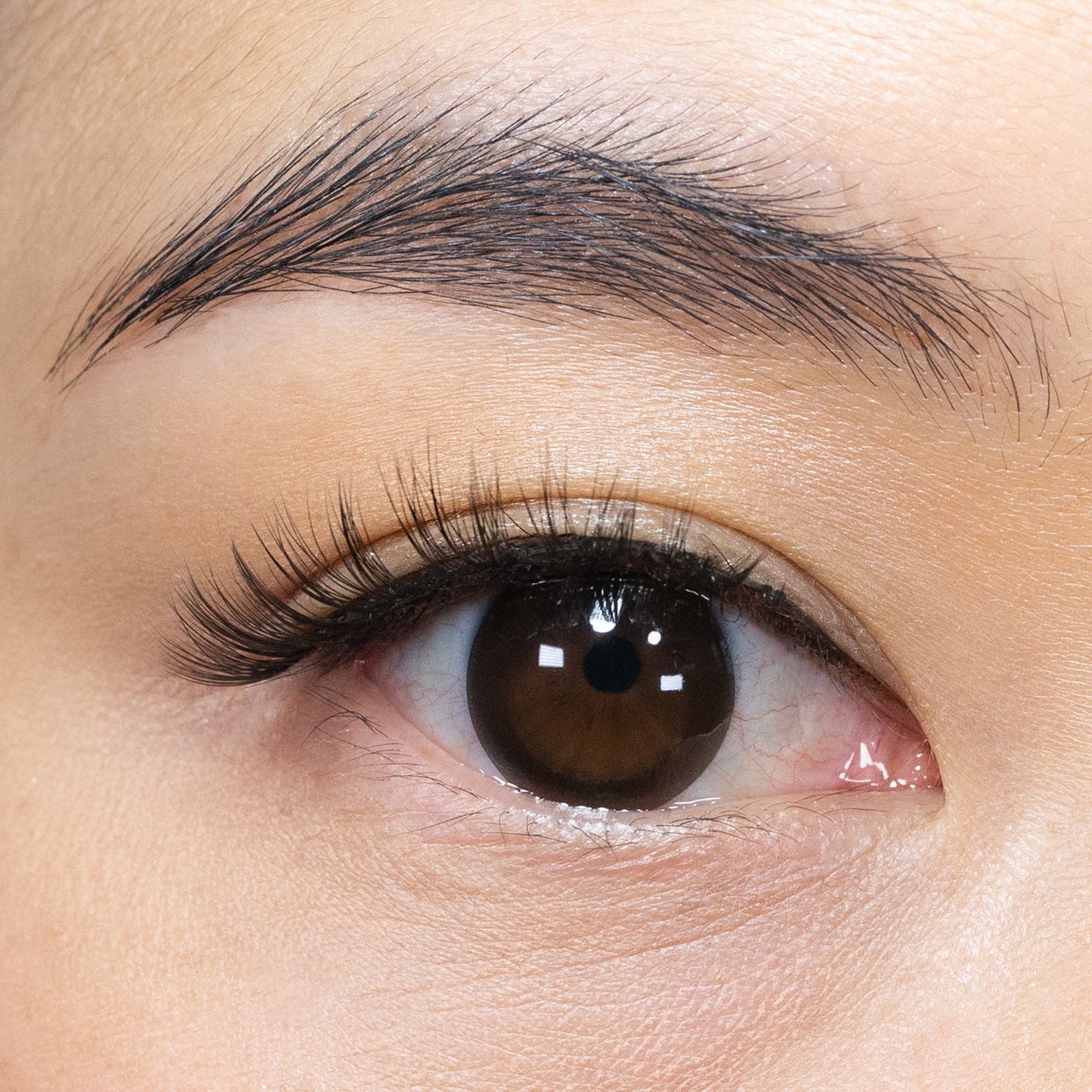 Wedding Lash 300 Variety Pack