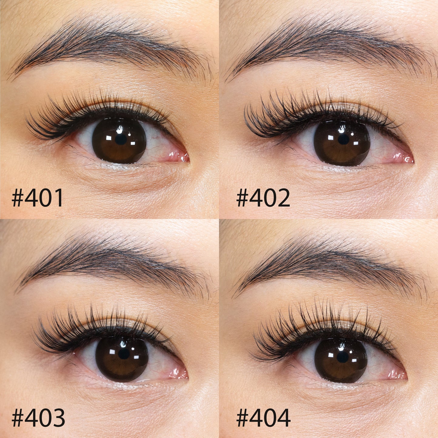 Glam Lash 400 Variety Pack