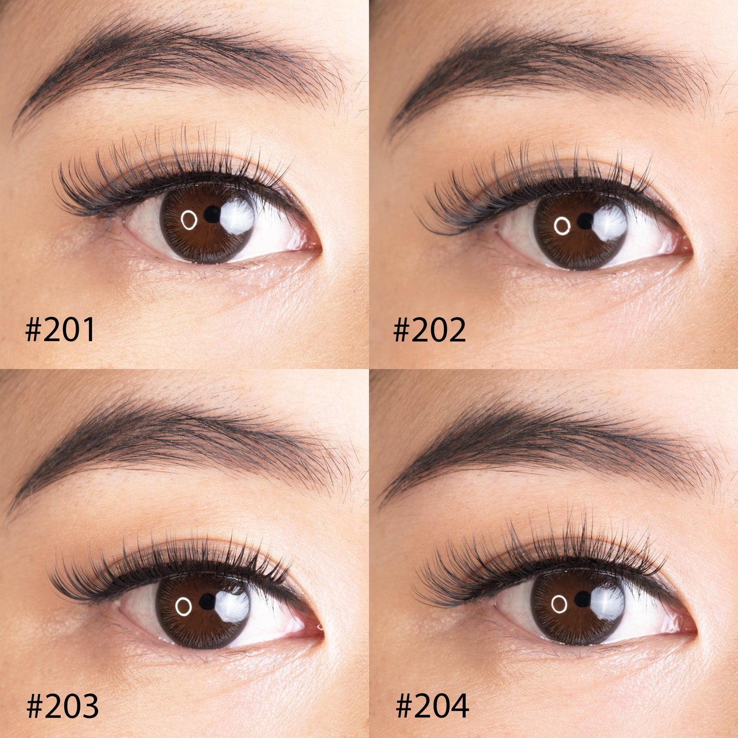 Volume Lash 200 Variety Pack