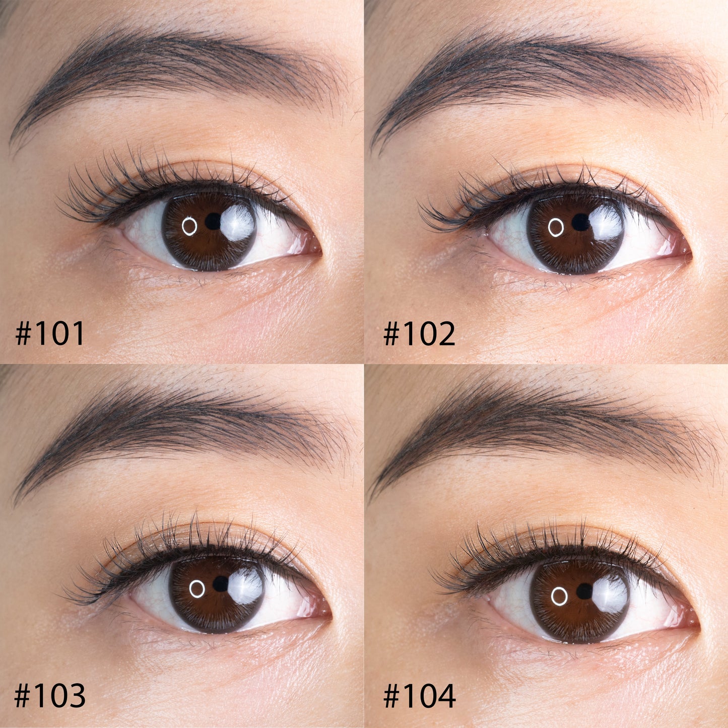 Natural Lash 100 Variety Pack